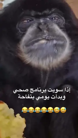 #ضحك