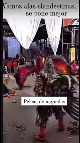 #nahuales #sorpresa #arriesgado #hombres #mente 