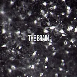 The brain is the control center of your entire body. The brain does multitude functions, what I find most interesting is it sents and receives signals from the nervous system to regulate many functions! #biology #Science #edit #neuron #brain 
