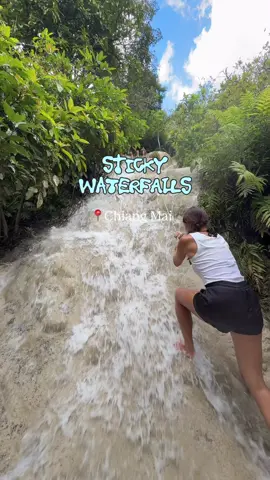 Sticky waterfalls in Chiang Mai is a must visit and the best part is that it’s FREE #chiangmai #thingstodoinchiangmai #stickywaterfall #buatongwaterfall #thailand 
