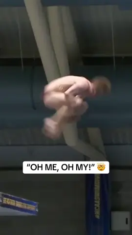 This dive is unreal 😳 #diving #platform #flip #dive #indiana 