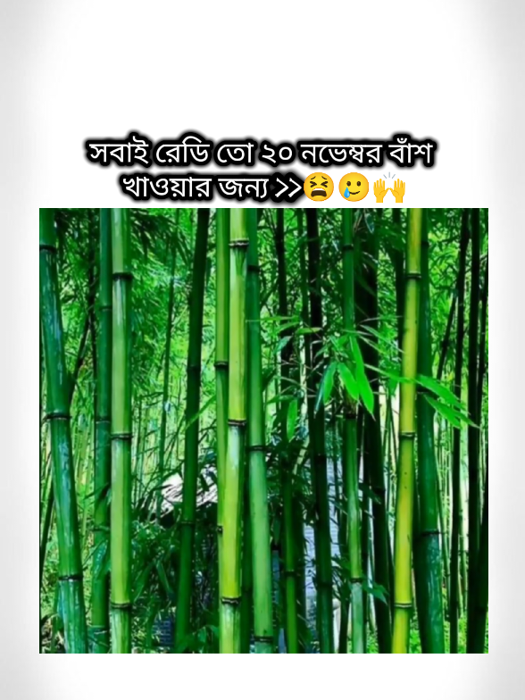 আমি প্রস্তুত 🥲🙌😫 #foryoupage❤️❤️ #unfrezzmyaccount #fyp #bangladesh🇧🇩 #foryoupageofficiall 