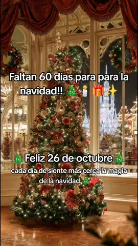 navidad 2025 #NavidadEnCamino  #60diasparanavidad #paratii  #Navidad  #4kvideo 