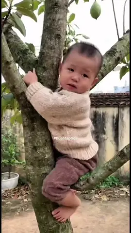 Hát nhiều đau hết đầu 😂 #ai #videoai #haihuoc 