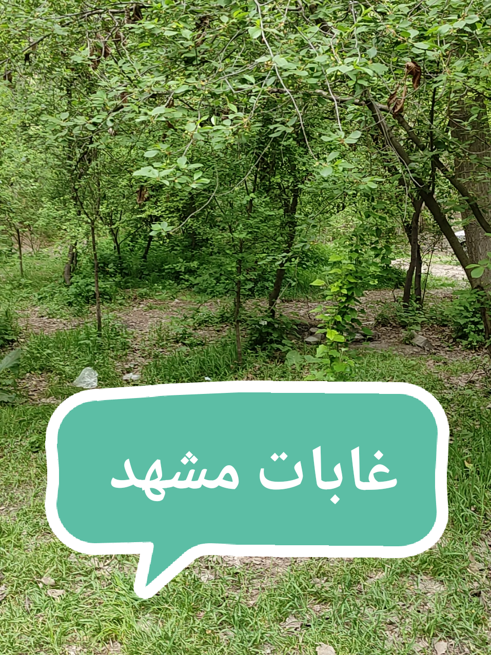 #سياحه_سفر #مشهد #ايران🇮🇷 #الاهواز #الشعب_الصيني_ماله_حل😂😂 