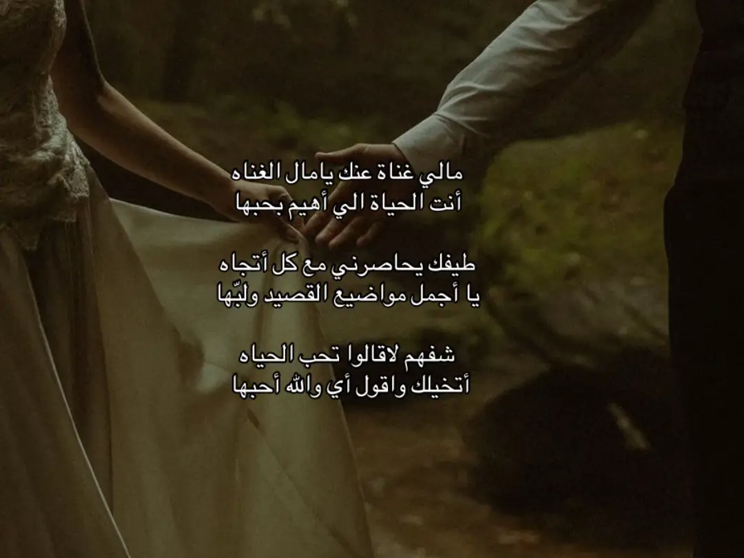 #explore #fyp #قصيد 