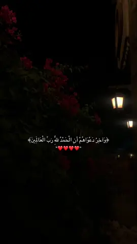 #قران #قران_كريم #quotes 