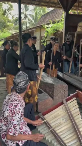 Suku Osing adalah kelompok etnis yang mendiami wilayah paling timur Jawa, terutama di Kabupaten Banyuwangi, Jawa Timur. Mereka adalah keturunan dari Kerajaan Blambangan, sebuah kerajaan yang merupakan sisa dari Kerajaan Majapahit. Suku ini dikenal memiliki bahasa, budaya, dan tradisi yang unik dan masih melestarikan warisannya hingga saat ini.  #tanahjawa #adatjawa #sukujawa #jawapride #budayajawa #jawaculture #jatim #banyuwangi #sukuosing 
