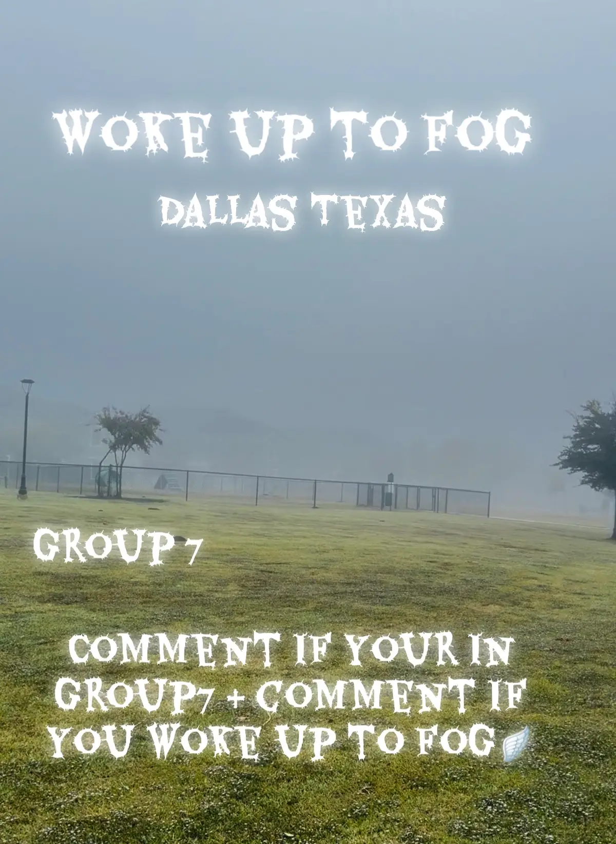 Comment if your in group7 & comment if you woke up to fog🪽 #group7 #SpiritualAwakening #SpiritualTikTok #annarsimon 