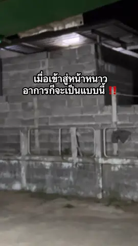 เมื่อเข้าสู่หน้าหนาว…อาการก็จะเป็นแบบนี้ ⚠️‼️ ##ฤดูหนาว##หนาว ##อาบน้ํา ##เย็น