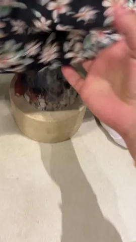 💨 أعراض هواء الرحم: ثقل بالبطن، برودة بالأطراف، تعب بعد الدورة، انتفاخ أو صوت بالرحم، وخز أو ألم بأسفل الظهر والعجان. وغالبًا يجي بعد الدورة أو النفاس أو التعرّض لهواء بارد ❄️ ✨ الحل الطبيعي والمجرّب: كبو الأعشاب النسائي ينظّف، يدفّي، ويطرد الهواء من أول استخدام #اورقنك_اويل #السعودية #viral #بنات #شتاء  