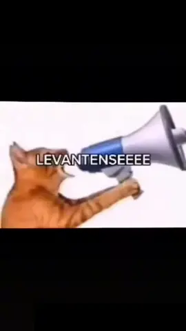 levantenseeeee tururú tururú 😂😂🤣🤣