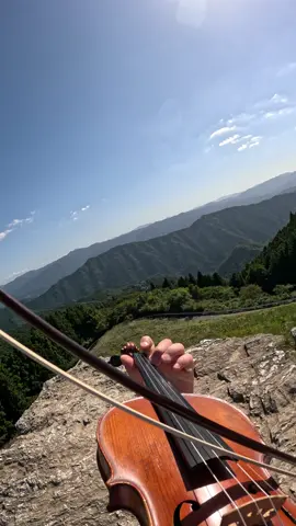 The KING of the Mountains #PR #TikTok #ConnectByTourism #和歌山 #wakayama @和歌山県観光【公式】 