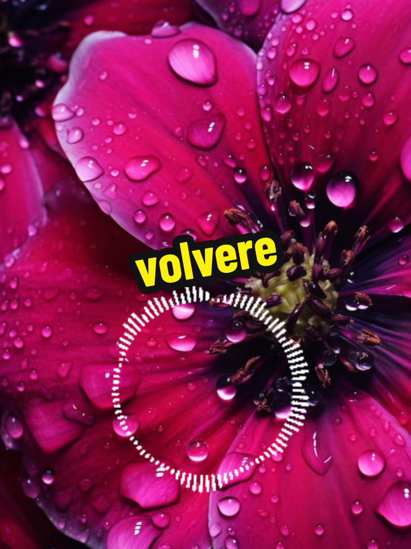 #diegovergaguer #volvere #fronteramusic🎼 #musica #paratiiiiiiiiiiiiiiiiiiiiiiiiiiiiiii 