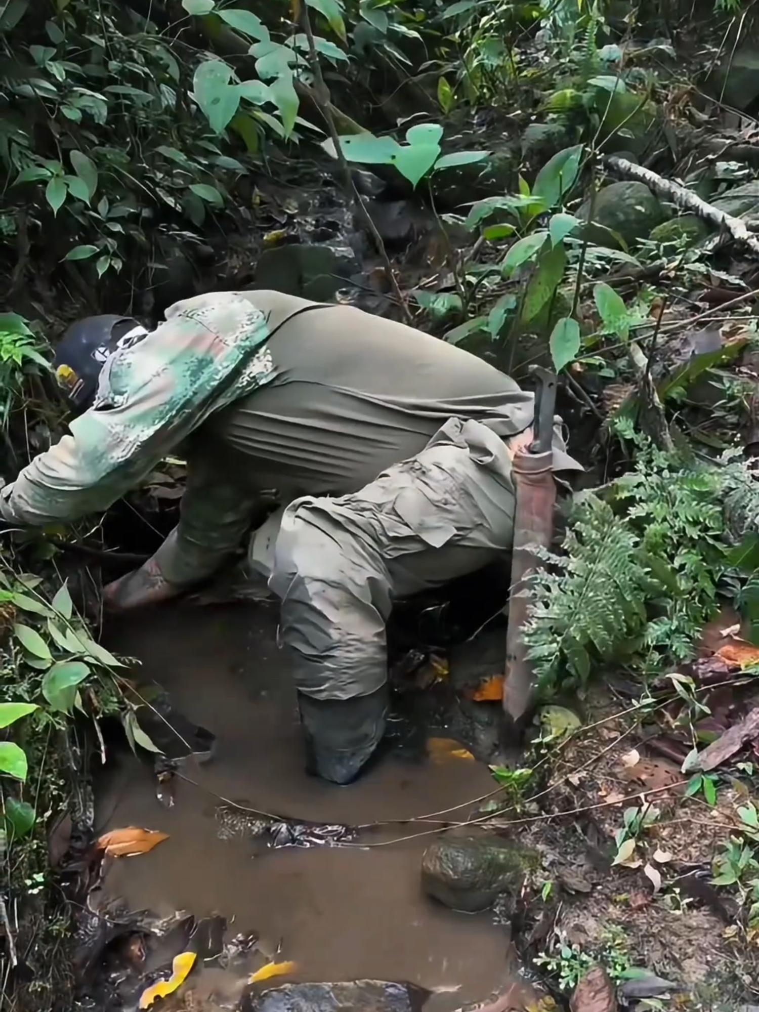 Khám phá rừng mưa Amazon, vùng đất nguyên sơ cuối cùng của nhân loại#viral #thugian #rungmuaamazon #khamphathegioi