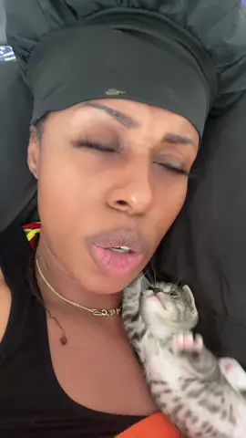 #abandonedkitten  #catmom 