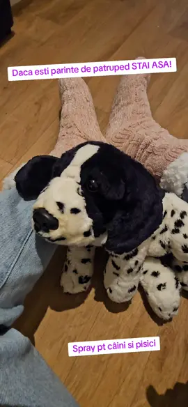 Daca si copilul vostru pufos se confrunta cu roseata, mancarime, alergii, zgarieturi sau taieturi minore, incearca acest spray conceput din plante, care nu dauneaza daca este ingerat si este fara miros. #spray #dogs #cats #wounds #cuts 