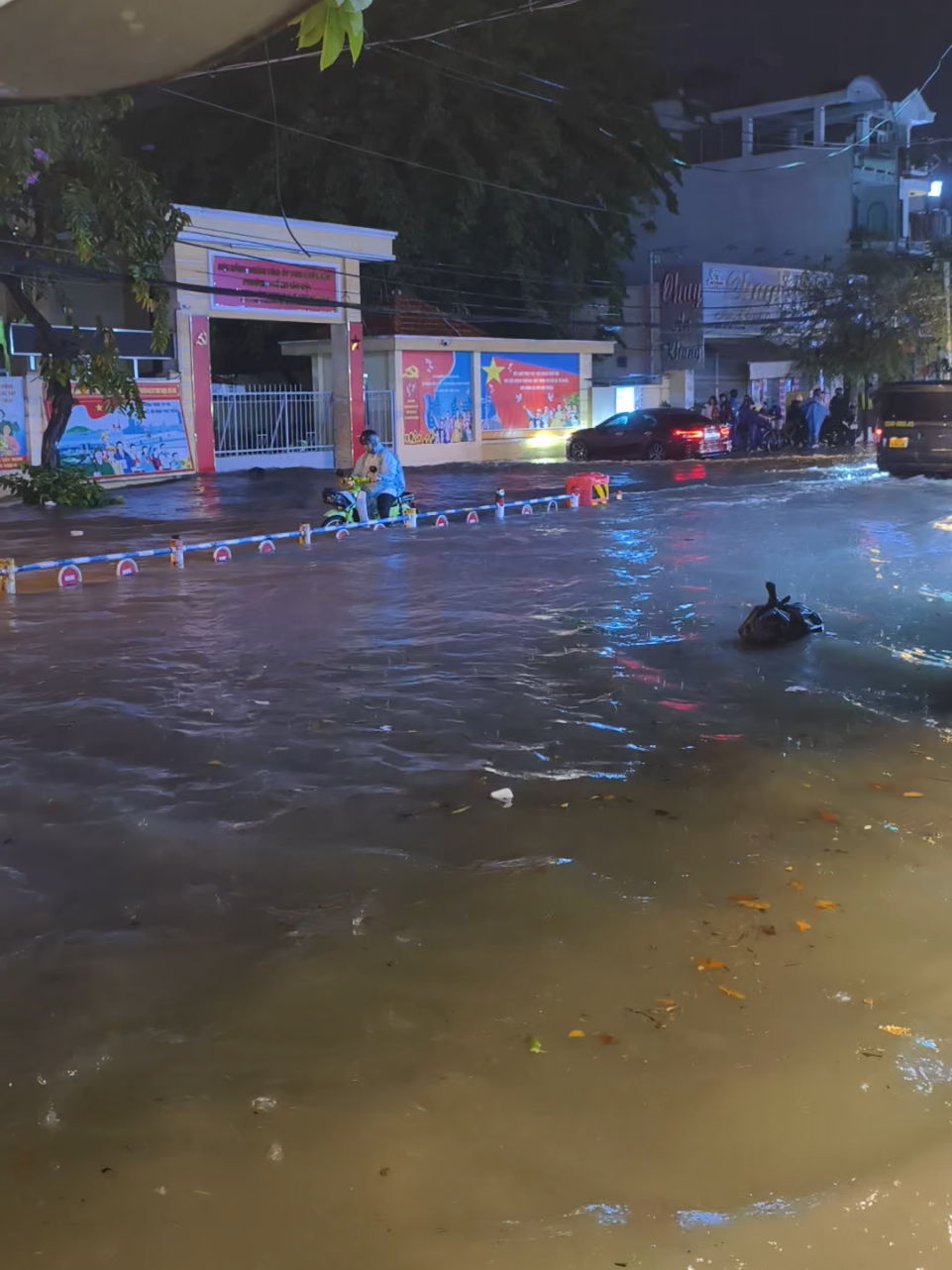 Sau cơn mưa lớn bổng nhiên xuất hiện biển tại công viên làng hoa gò vấp #govap #tphcm 