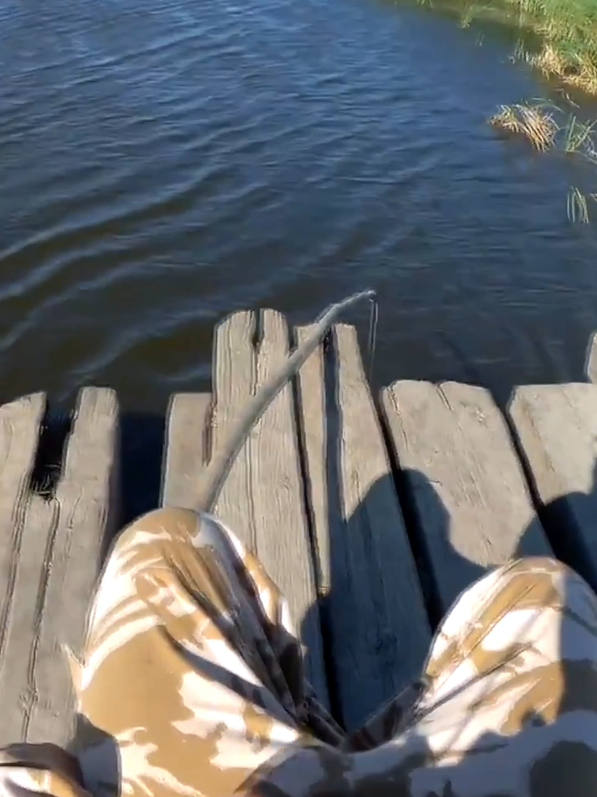 Carp and ruff caught in a stream #ruff #fishing #net #bite#sazan 