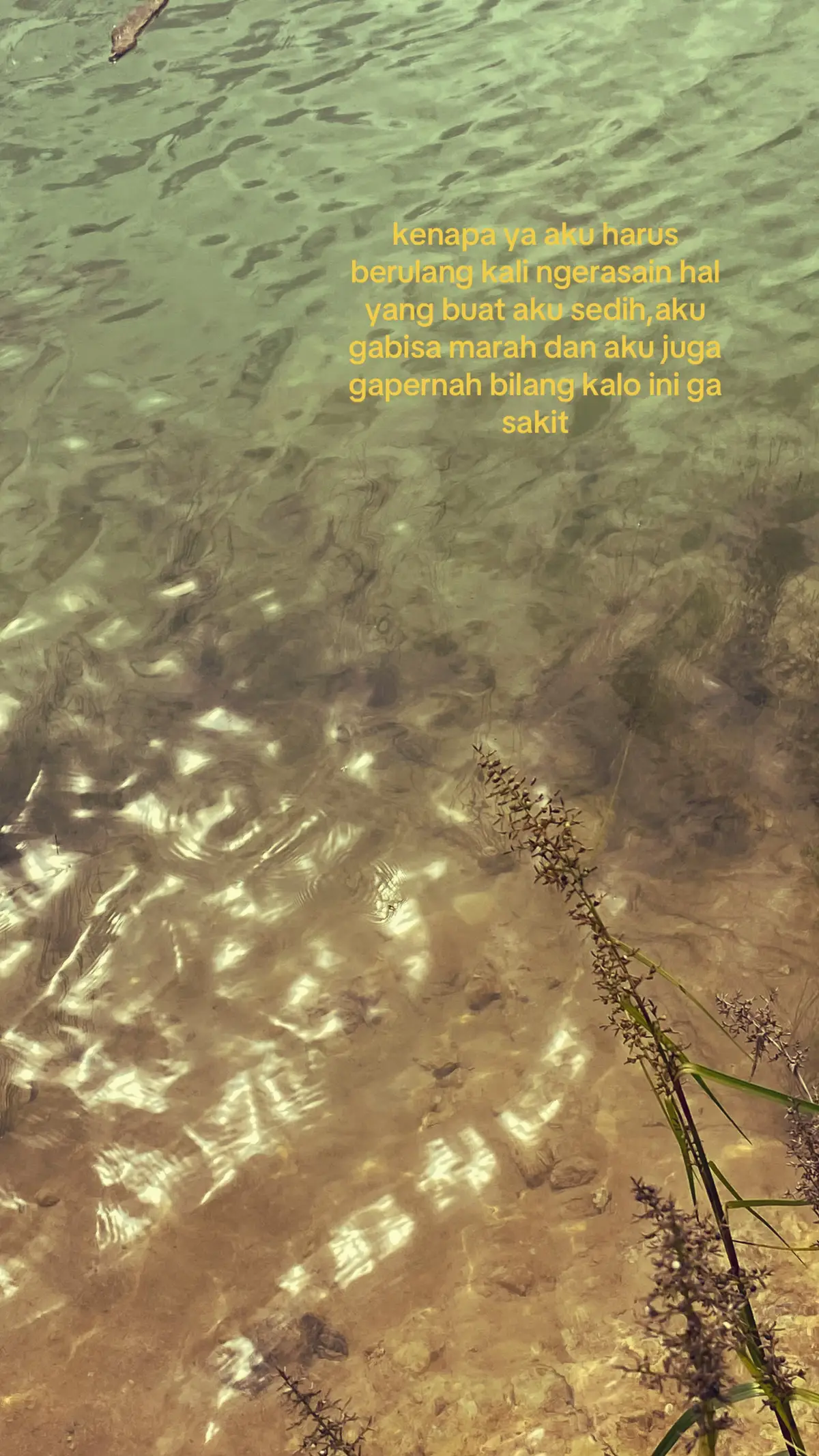 #4u #4youpage #foryoupage #foryoupage 