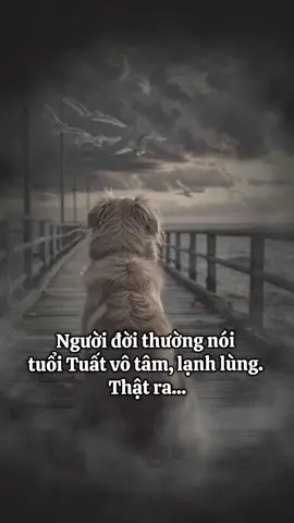 Người đời thường nói tuổi Tuất vô tâm, lạnh lùng. Thật ra họ sâu sắc đến mức nhìn quá rõ mọi điều, ai đang giả dối, ai đang lợi dụng. Rõ đến mức chẳng buồn nói mà chọn lặng lẽ cư xử tử tế, im lặng rời đi, rồi để thời gian tự trả lời. #12congiap #tuoituat #2006 #1994 #1982 