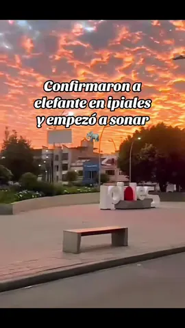 #elefante #asieslavida #musica #ipiales #paratiiiiiiiiiiiiiiiiiiiiiiiiiiiiiii 
