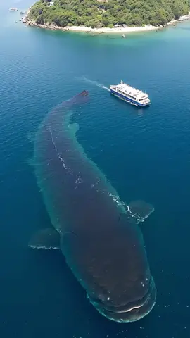 #ocean #northsea #scary #job #fear 