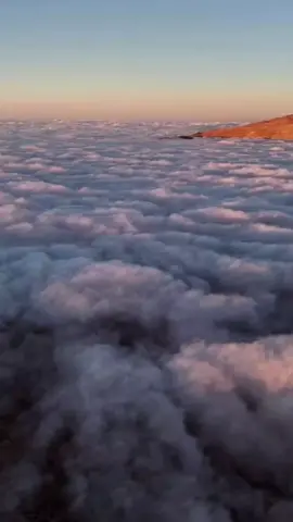 North Of Heaven