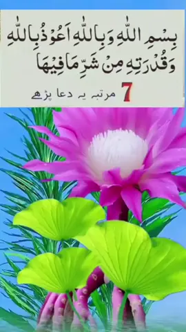 کیا آپ پر جادو کا اثر ہے کیا آپ کی پسند کی شادی ہو گی یا نہیں رشتہ کیوں نہیں ہو رہا؟کونسے رشتہ صحیح ہوگا ؟بیماری کیوں نہیں جان چھوڑ رہی؟اولاد کیوں نہیں ہو رہی ؟کاروبار کی بندش کا علاج نظر بد کا علاج حساب لگوانے اور استخارہ کروانے کے لیے ان سب کی وجہ معلوم کرنے کے لیے رابطہ کریں ۔۔۔