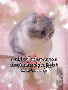 Could I...😜😜 #rizz #cattok #relatable #fyp 