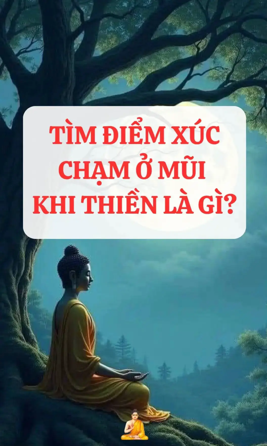 #theravada #phatphapnhiemmau 