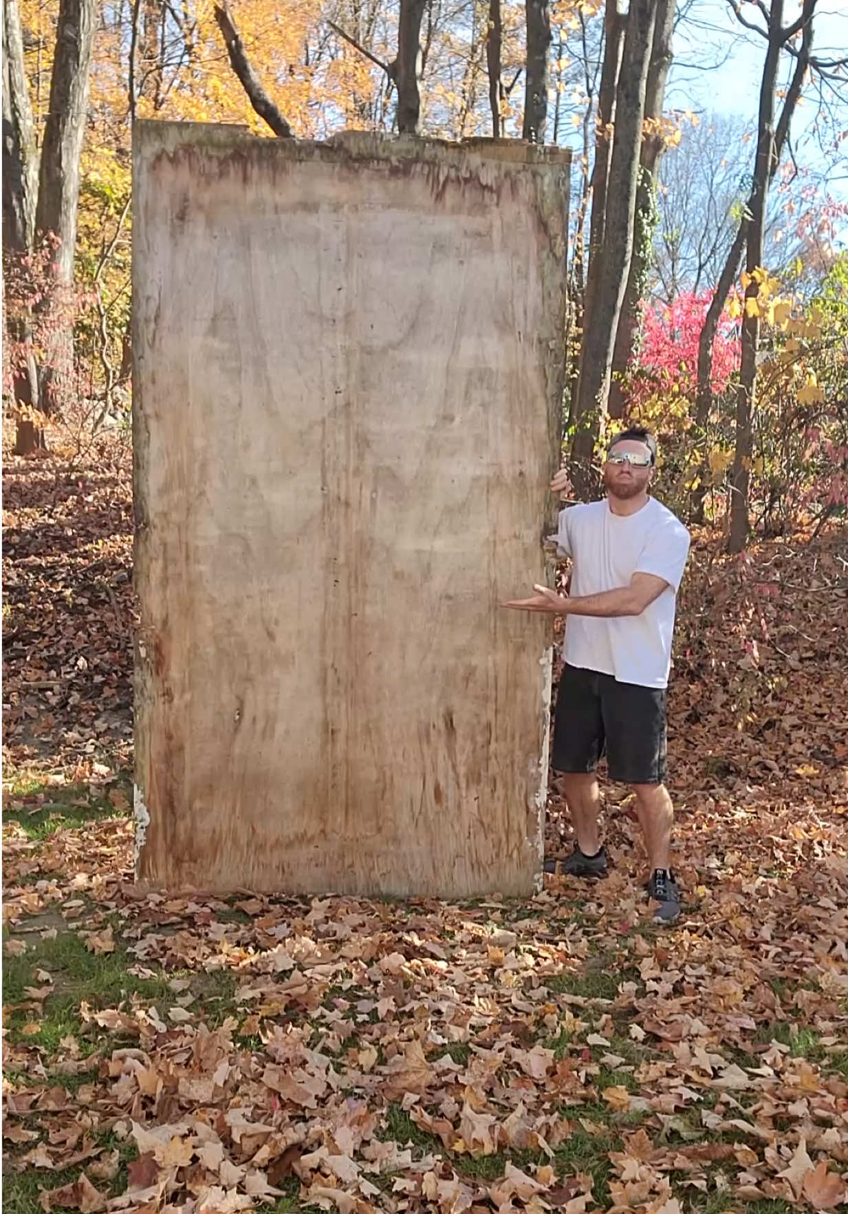 1 Year Anniversary | Using PLYWOOD as a BASKETBALL 🏀 #fyp #foryoupage #basketballtrickshot #funnyvideo 