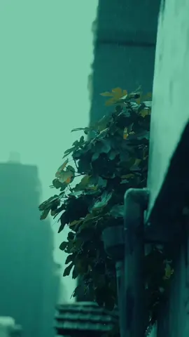 #fybシviral #foreyoupage #somalitiktok #zinara🍁✨️ 