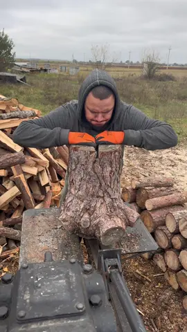 splitting a large knotty log of a wood splitter🪵🪓🦾🤖#woodcutter #wood #holz #asmr 