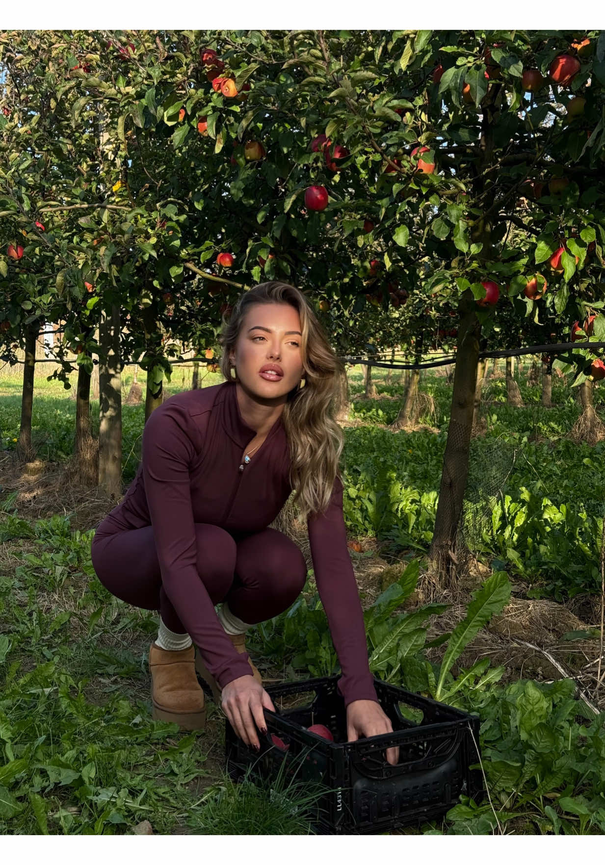 un dimanche alsacien :) #alsace #Vlog #unejourneeavecmoi #onedaywithme #fyp 