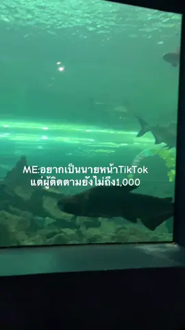 #เพื่อนช่วยเพื่อน #ติดตามมาติดตามกลับ #tiktok #นายหน้าtiktokshop #ฟีดดด 