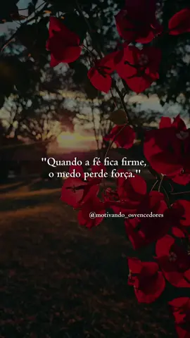 Quando a gente se apega à fé, o medo dá tchau! Acreditar no que está por vir é um superpoder que todos temos. ✨  #Fé #Esperança #ForçaInterior #Acredite#creatorsearchinsights 