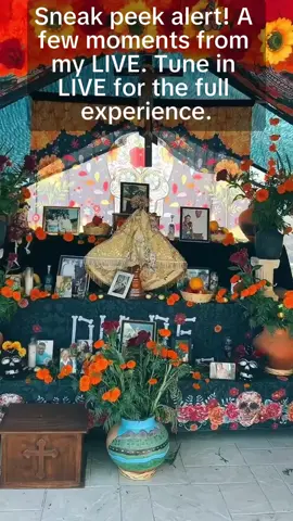 Sneak peek alert! A few moments from my LIVE. Tune in LIVE for the full experience.#tiktoklive #livehighlights 