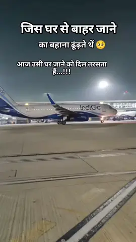 #creatorsearchinsights #foryou #foryoupage #fypシ 