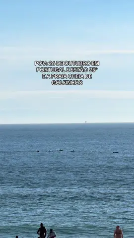Estamos em pleno final de Outubro em Portugal e encontras  golfinhos na Praia de carcavelos  #praiadecarcavelos #golfinhos #naturezaperfeita #foryou  #fyp 