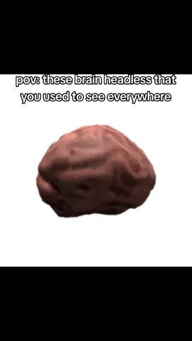 it was cool :: #headless #headlesshorseman #robloxbrain #brain #roblox ::