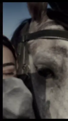 هەر  ئەوەندەم دیوە چاوت وا لەژێر برژانگی ڕەش 🤍