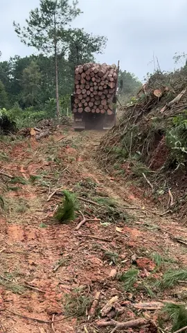 Kiếm được đồng tiền k hề rế dàng . # phải chấp nhận thôi #biên giới việt-trung# gố thông m 3#biên #xuhuong 