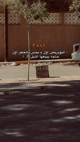 الي تجي على مقاسه يلبسها 😉 ! #ليبيا #foryou #foryoupage #fyppppppppppppppppppppppp #الشعب_الصيني_ماله_حل😂😂 