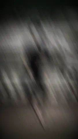 #CapCut con bò sữa 