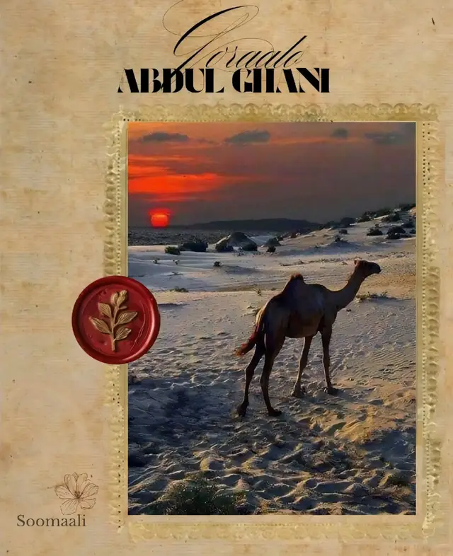 #شعب_الصيني_ماله_حل #❤ #شعب_الصيني_ماله_حل #❤ #شعب_الصيني_ماله_حل 