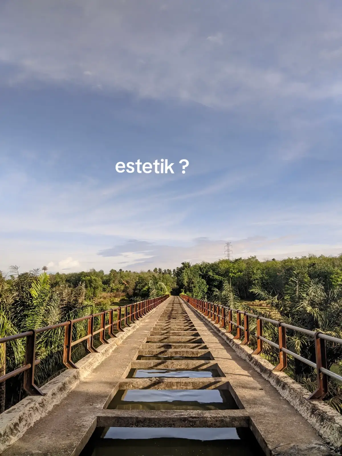 estetik ?#CapCut #fyppppppppppppppppppppppp #viraltiktok #estetic 