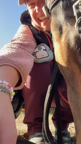 piszkozat 1. - felrepült egy fácán egy perce az út mellől 🤷🏽‍♀️❤️