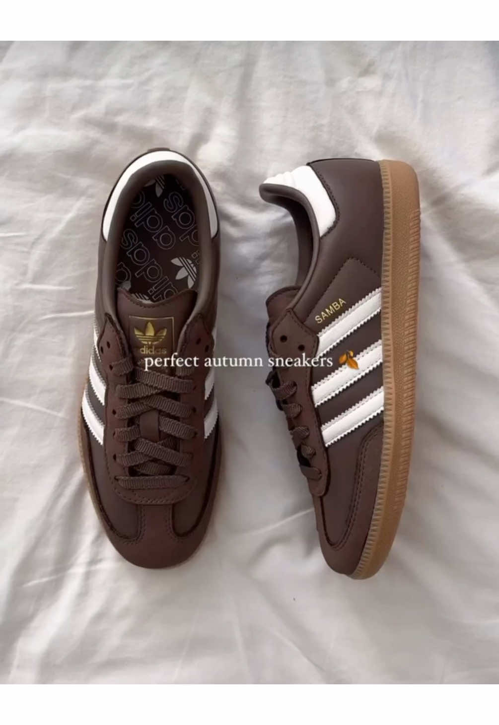 Brown lover 🍂🍁🤎🐿️  #adidas #browntiktok #lover #pourtoi @adidas 