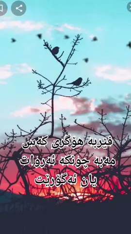 #في هذا اليوم 